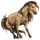 Poney Français de Selle Cremello
