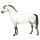 Poník Shetlandský pony Myšák