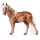 Poni Shetlanninponi Harmaanruskea
