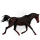 Reitpferd Holsteiner Dunkelfuchs