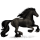 Riding pegasus Friesian Black
