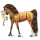 Kuc Haflinger Jasnokasztanowata