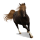 Pony Australian Pony Flaxen Liver chestnut 