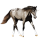 Poníkorožec Shetlandský pony Smíšený bělouš