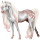 Cavalo de passeio Curly Baio de cabos negros