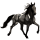 Riding Horse Paint Horse Black Overo
