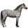Reitpferd Hannoveraner Apfelschimmel