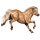 Poney Fjord Brunblakk