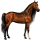 Riding Horse Thoroughbred Palomino