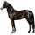 Pégase de selle Trotteur Français Noir