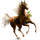 Cheval de selle Tinker Pie Tobiano Alezan