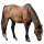 Riding Horse Trakehner Flaxen Chestnut 