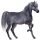 Pony Quarter Pony Dapple Gray
