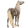 Cavalo de passeio Paint Horse Overo castanho