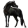Jezdecký kůň Anglický plnokrevník Palomino