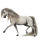Riding Horse Purebred Spanish Horse Light Grey