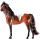 Reitpferd Marwari Cremello mit Tobiano-Scheckung