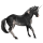 Riding unicorn Icelandic horse Black