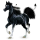 Cheval de selle Trotteur Français Bai Brûlé