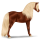 Pony Australian Pony Dapple Gray