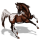 Reitpferd Argentinischer Criollo Braunschecke