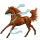 Reitpferd Araber Fuchs