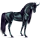 Riding unicorn Marwari Chestnut