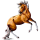 Cheval de selle Trotteur Américain Bai