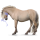 Pony Norweger Gelbfalben