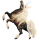 Unicorn pony Shetland Flaxen Liver chestnut 
