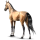 Cheval de selle Quarter Horse Cremello