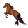 Riding Horse Morgan Dapple Gray