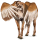 Winged unicorn pony  Fjord Brunblakk
