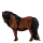 Poník Shetlandský pony Hnědák