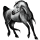 Riding Horse Arabian Horse Dapple Gray
