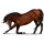 Jezdecký jednorožec Quarter Horse Ryzák