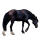 Cheval de selle Nokota Noir