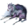 Licorne de selle Arabe Gris Pommelé