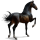 Ridhäst Hannoveranare Svart