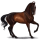 Cheval de selle Trotteur Français Bai Brûlé