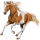 Cheval de selle Nokota Bai
