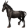 Donkey Standard Donkey Brown
