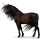 Riding unicorn Lipizzan Liver chestnut