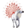 Cheval de selle Arabe Aubère