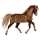 Jezdecký kůň Hannoverský kůň Hnědák