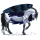 Ridepegasus Nokota Sort Overo