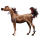 Cheval de selle Arabe Aubère