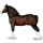 Draft horse Percheron Mouse Gray
