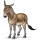 Burro Burro normal Marrón