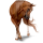 Riding Horse Quarter Horse Chestnut